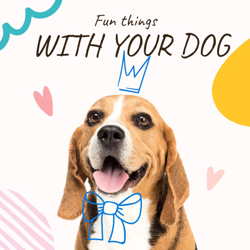 fun things to do with your dog